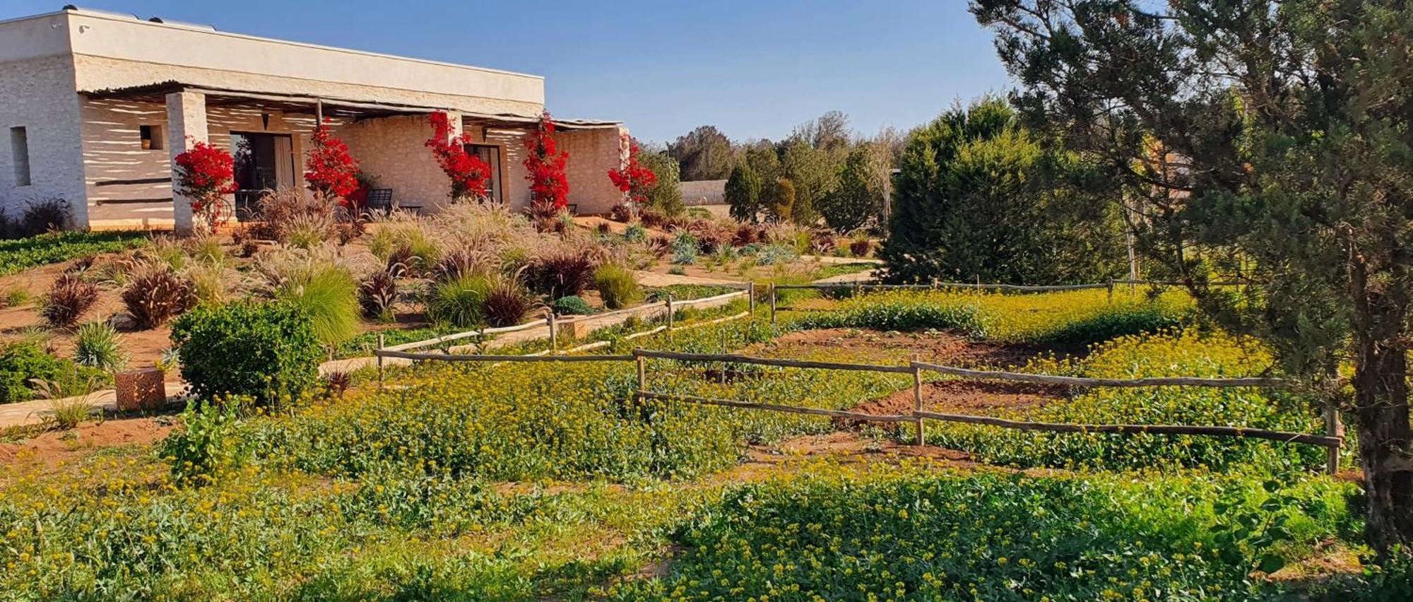 Le Clos De La Roussiere Essaouira Esterno foto