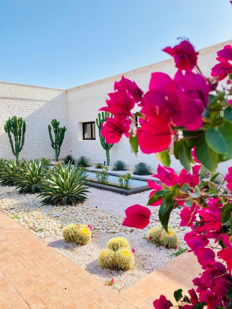 Le Clos De La Roussiere Essaouira Esterno foto