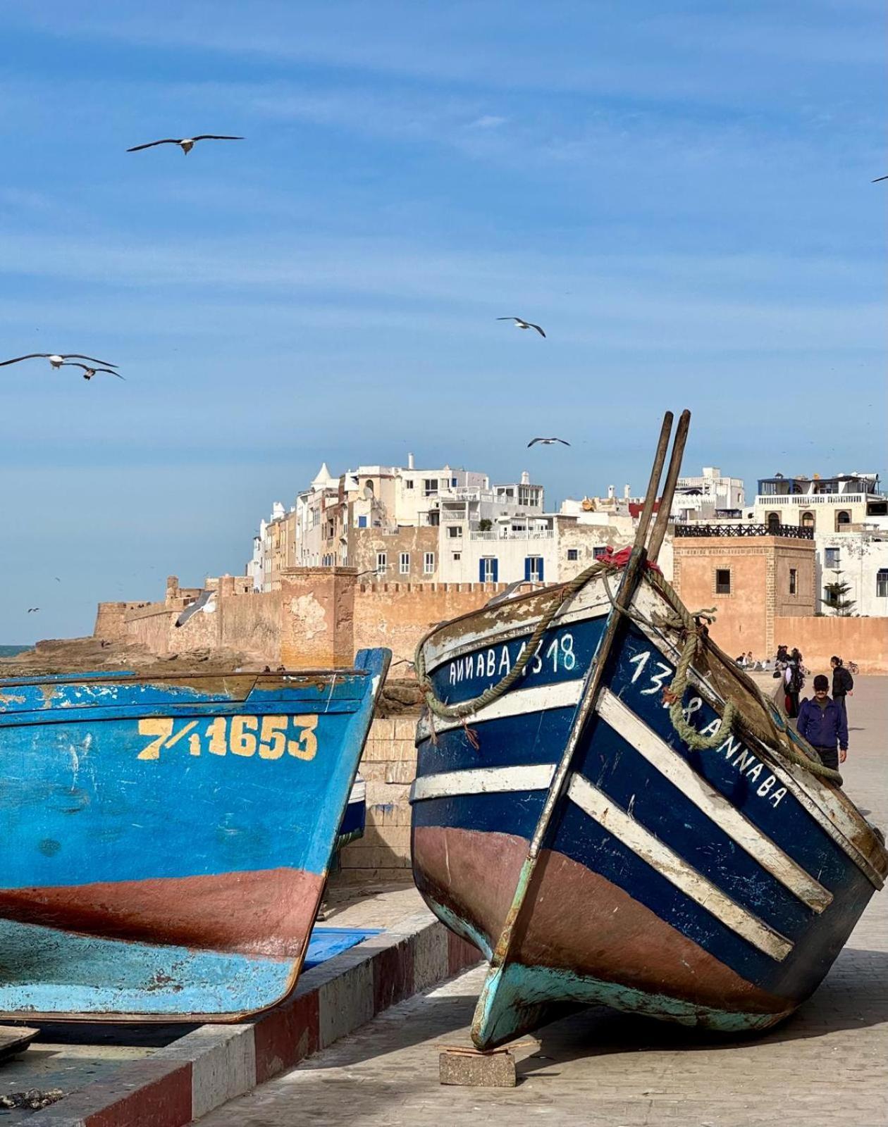 Le Clos De La Roussiere Essaouira Esterno foto