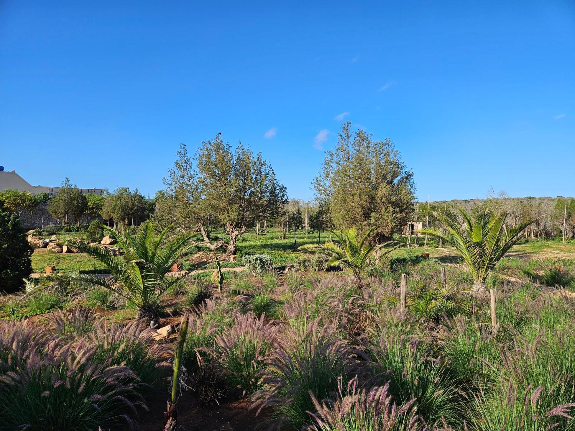 Le Clos De La Roussiere Essaouira Esterno foto